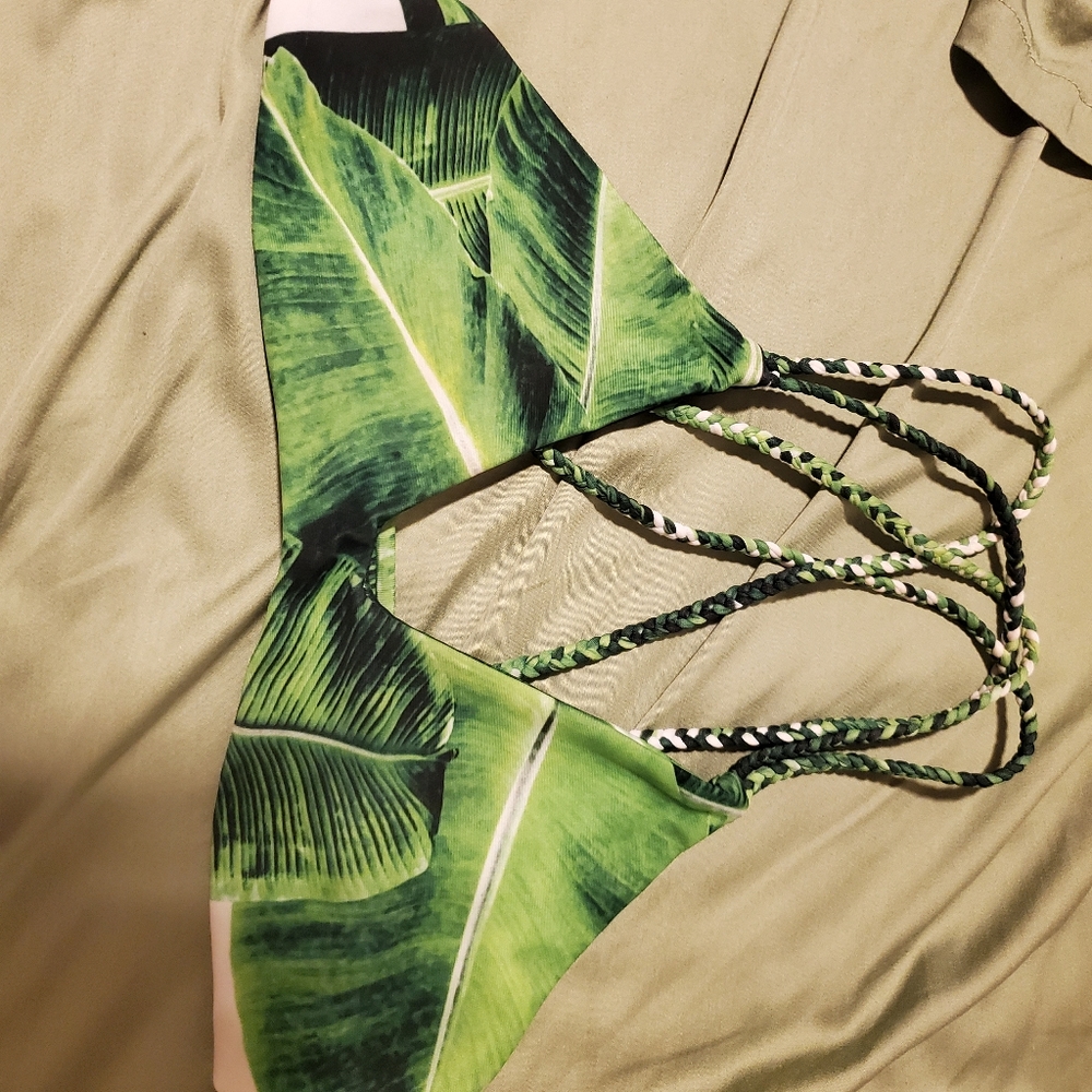 Stone fox swim